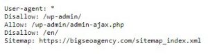 Robots.txt BigSEO Marketing